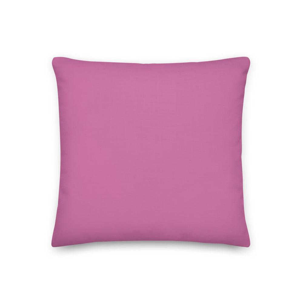 Fun Alphabet Premium Pillow